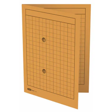 Photo Chemise quadrillée A4 pour dossier de correspondance - Jaune - ELBA 100091659 