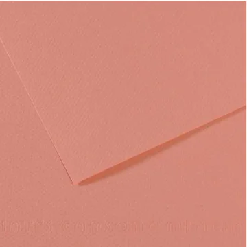 Photo CANSON 200321084 : Lot de 25 feuilles de papier dessin - Rose