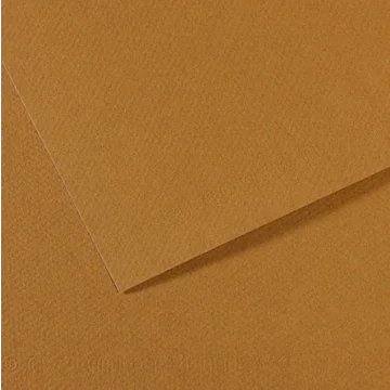 Photo Feuille de papier dessin Mi-teintes - Cachou - 500 x 650 mm CANSON