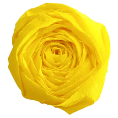 Papier Crépon - Jaune citron : CLAIREFONTAINE Photo