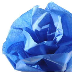 Image CANSON : Papier de soie - Bleu